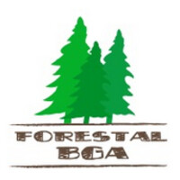 Forestal BGA, S.A. de C.V. Logo
