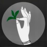 Kolony Tea Logo