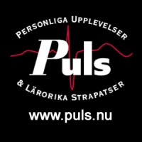 Puls Sverige AB Logo