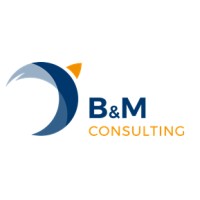 B&M CONSULTING srl Logo