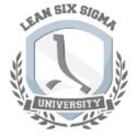 The Lean Six Sigma Company Italia Logo