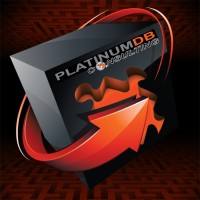 Platinum DB Consulting, Inc. Logo