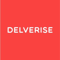 Delverise Logo