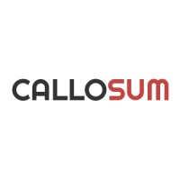 Callosum Partners Logo