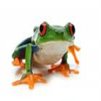 Tree Frog Service LLC Logo