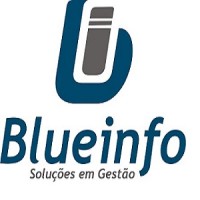 Blueinfo Co. Logo