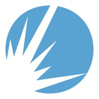 Mesirow Capital Markets and Investment Banking Logo