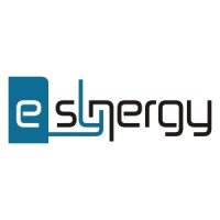 E-Synergy Logo