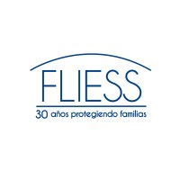 GRUPO FLIESS Logo