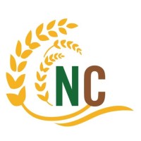 Natures Composites Logo