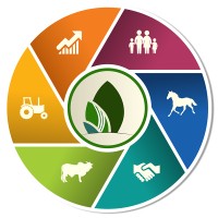 Compre Rural Logo