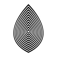 BURMANN ADVOCACIA AMBIENTAL Logo