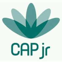 CAP jr Consultoria Logo