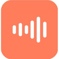 ROI Amplified Logo