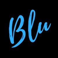 BluSkyy Travel Logo
