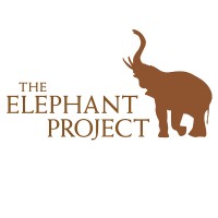 The Elephant Project Logo