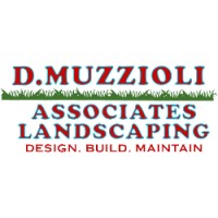 D. Muzzioli Associates, Inc Logo