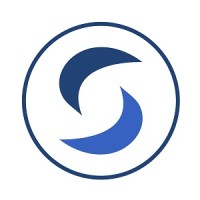 The Synergetic Group LLC Logo