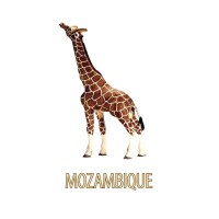 Mozambique Co. Logo