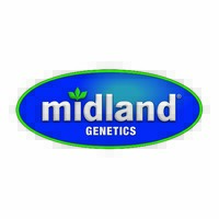 Midland Genetics Logo