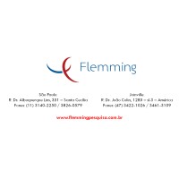 Flemming Pesquisas Logo