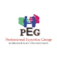 PROFESSIONAL EXPERTISE GROUP Logo