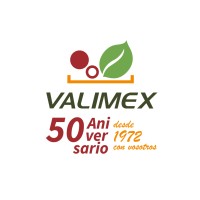Valimex, S.L. Logo