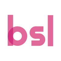 Big Smart Labs Logo