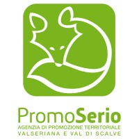 PromoSerio Logo