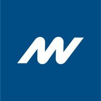 Network Vision Logo