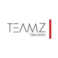 TEAMZ Inc. Logo