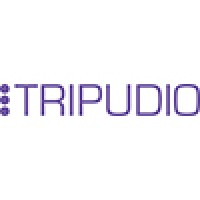 Tripudio Telecom Logo