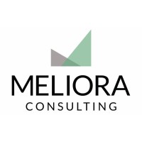 Meliora Consulting Group, Inc. Logo