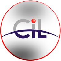 C I Logistics Group Logo