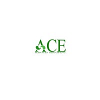 ACE Services Group Inc. Logo
