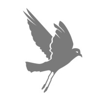 Petrel Logo