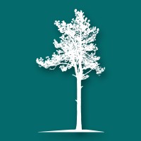 Southeastern Acquisition Advisors Logo