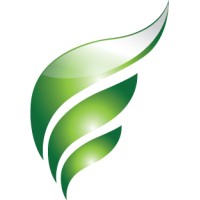 WISErg Corporation Logo