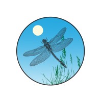 Dragonfly Farms Logo