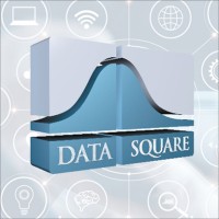 Data Square Logo