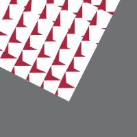 Gruppo COGEIN – Gruppo Data Management Logo