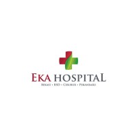 Eka Hospital Logo