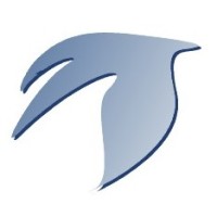 Finnish Aviation Academy Logo