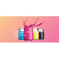 Digital Ink Logo