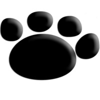 Mojocat Creative Services LLC Logo