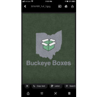 Buckeye Boxes Logo