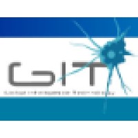 GIT-Global Intelligence Technology Logo