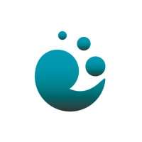 Snille Networks Logo