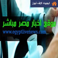Misr Online Logo