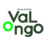 Município de Valongo Logo